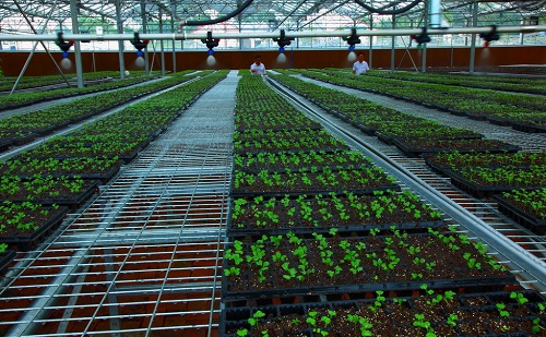 1661915029594512.png image.png