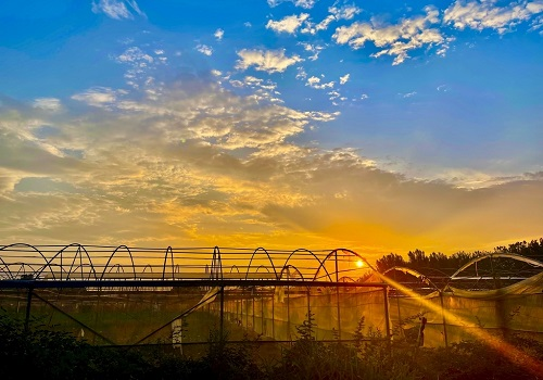 土壤儀器可用于污染問(wèn)題的的干預(yù)，土壤檢測(cè)儀可應(yīng)用的領(lǐng)域有哪些?