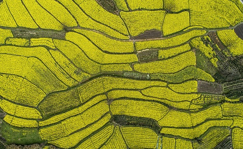 1663036448702541.png image.png