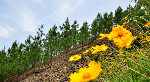 創(chuàng)造良好的土壤團粒結構，先用土壤團粒結構分析儀了解土壤實況