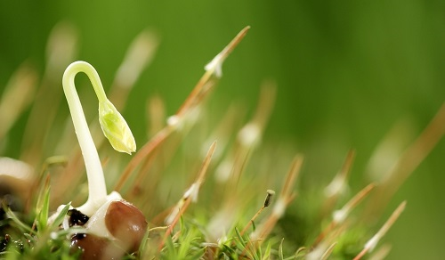 1668656122201093.png image.png