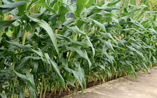 1669007938841338.png image.png