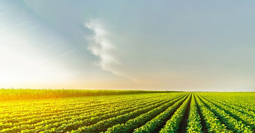 土壤墑情監(jiān)測是什么？土壤墑情監(jiān)測系統(tǒng)的作用是什么？