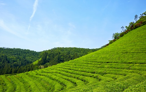 1675827850599492.png image.png