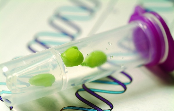 種子發(fā)芽所需要的條件，種子發(fā)芽箱都可以提供嗎？