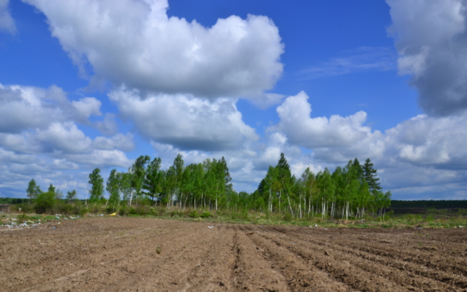 土壤養(yǎng)分速測儀有什么作用？？土壤養(yǎng)分速測儀三大功效詳解