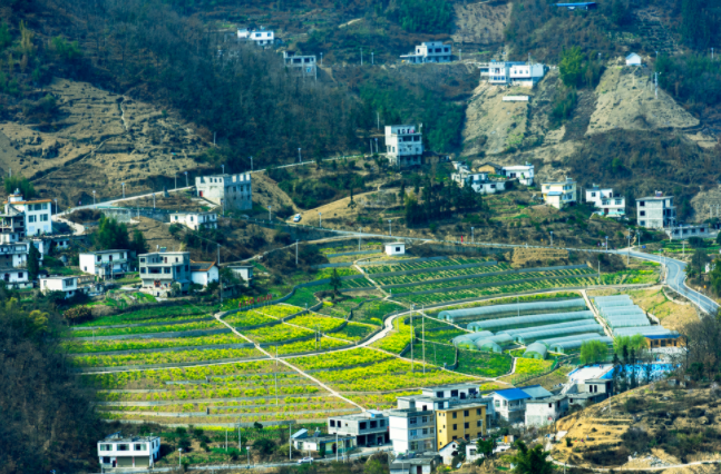 土壤墑情監(jiān)測系統(tǒng)在哪兒建站都行嗎？土壤墑情監(jiān)測系統(tǒng)的建站原則和選址要求