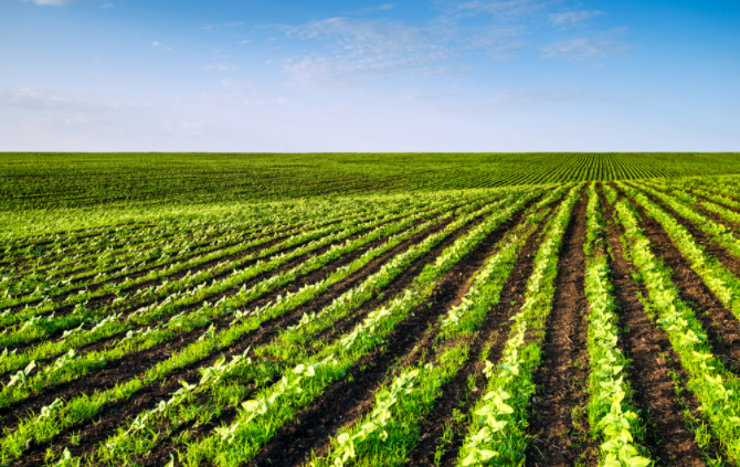 檢測土地質(zhì)量的必需利器！看看土壤微量元素測定儀發(fā)揮怎樣的作用！